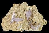 Gorgeous, Amethyst Crystal Cluster - Las Vigas, Mexico #165623-1